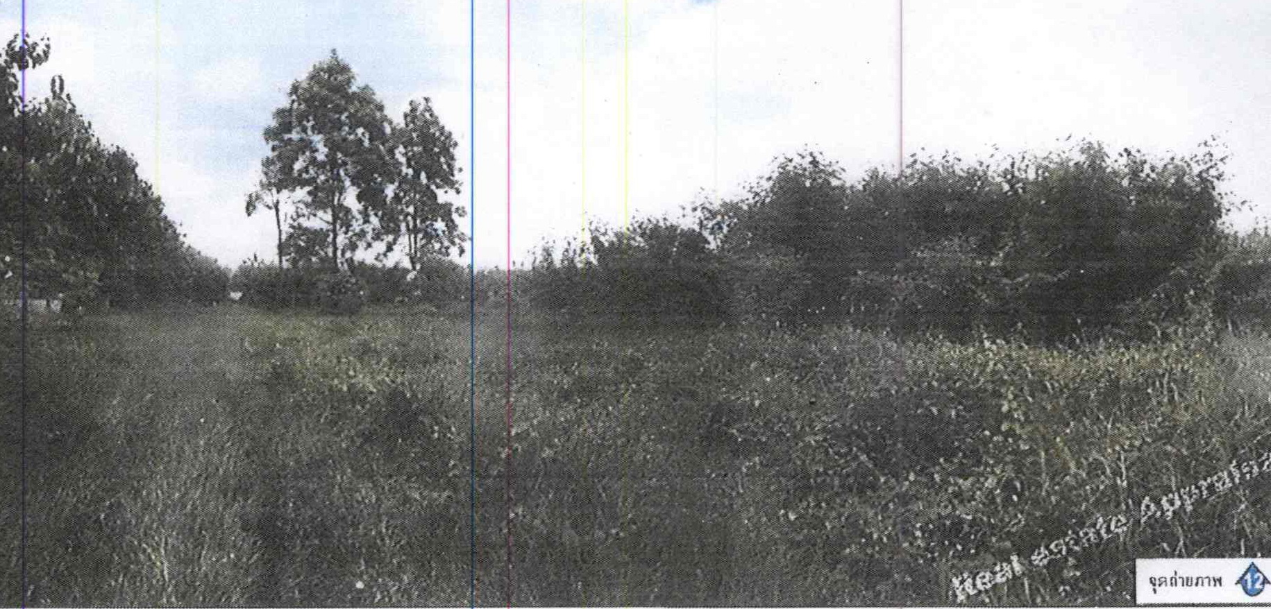 รูปที่ดินว่างเปล่า หนองควาย หางดง เชียงใหม่