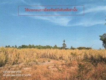 รูปที่ดินว่างเปล่า นาคู นาคู กาฬสินธุ์