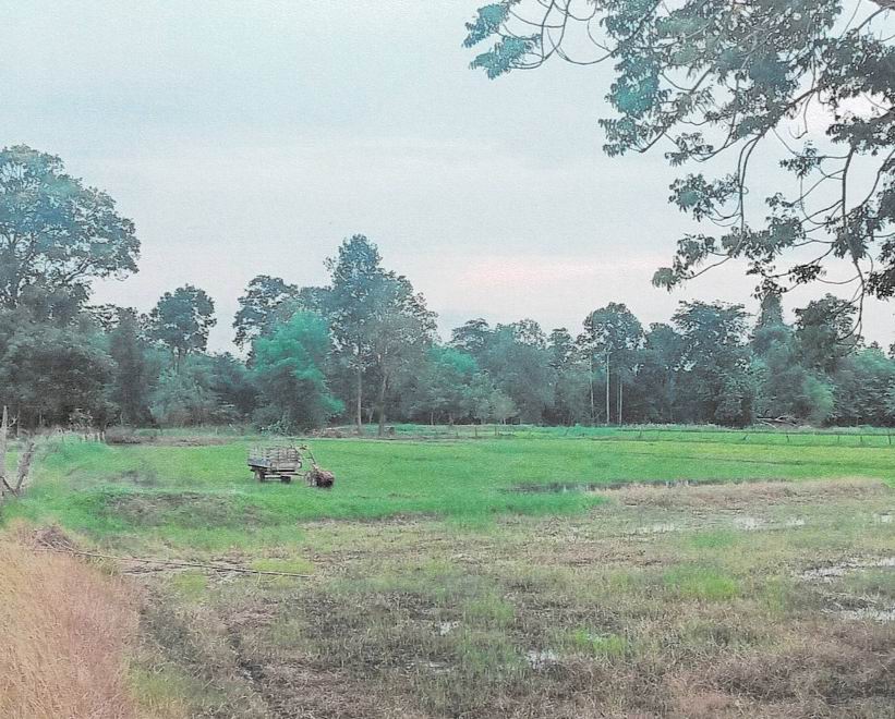 รูปที่ดินว่างเปล่า กุดปลาดุก เมืองอำนาจเจริญ อำนาจเจริญ