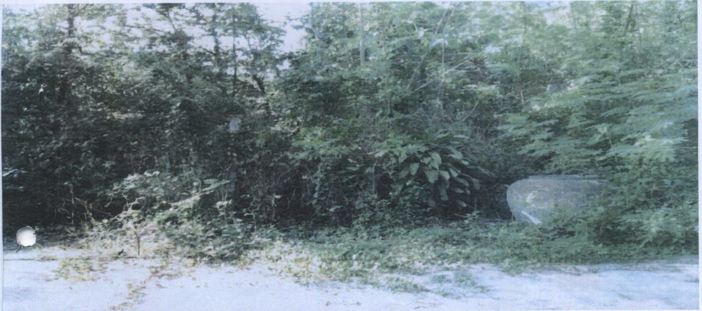 รูปที่ดินว่างเปล่า ทับคล้อ ตะพานหิน พิจิตร