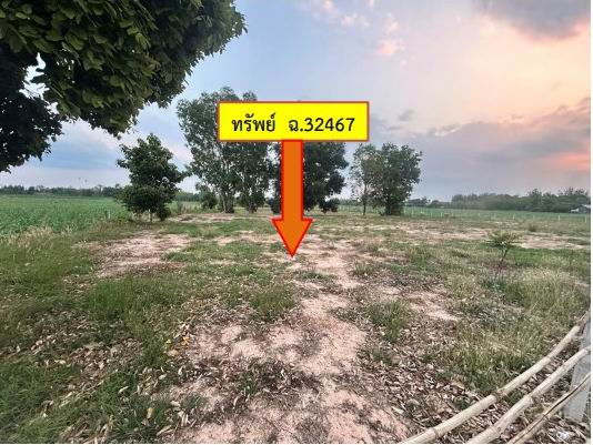 รูปที่ดินว่างเปล่า หนองแวง สมเด็จ กาฬสินธุ์