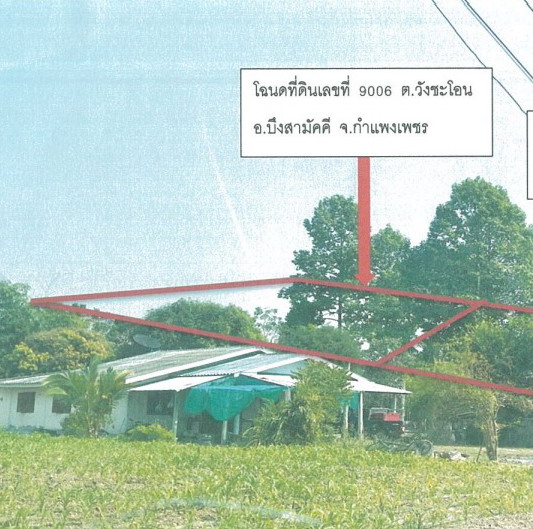 รูปที่ดินว่างเปล่า วังชะโอน บึงสามัคคี กำแพงเพชร