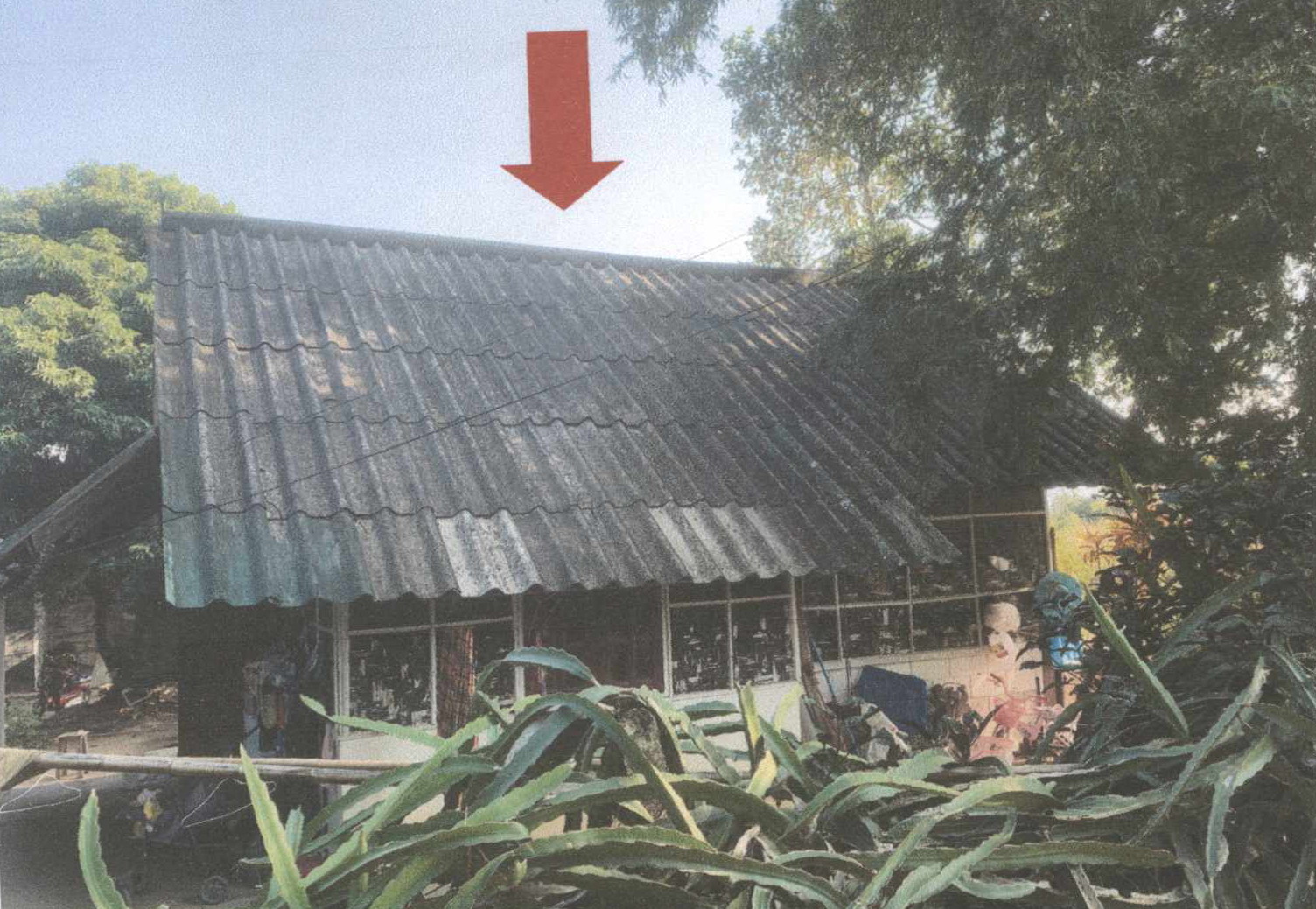 รูปที่ดินพร้อมสิ่งปลูกสร้าง (แม่อาย)มะลิกา แม่อาย เชียงใหม่