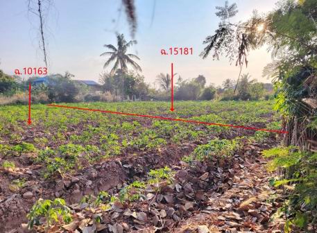 รูปที่ดินว่างเปล่า ท่าลาด ชุมพวง นครราชสีมา