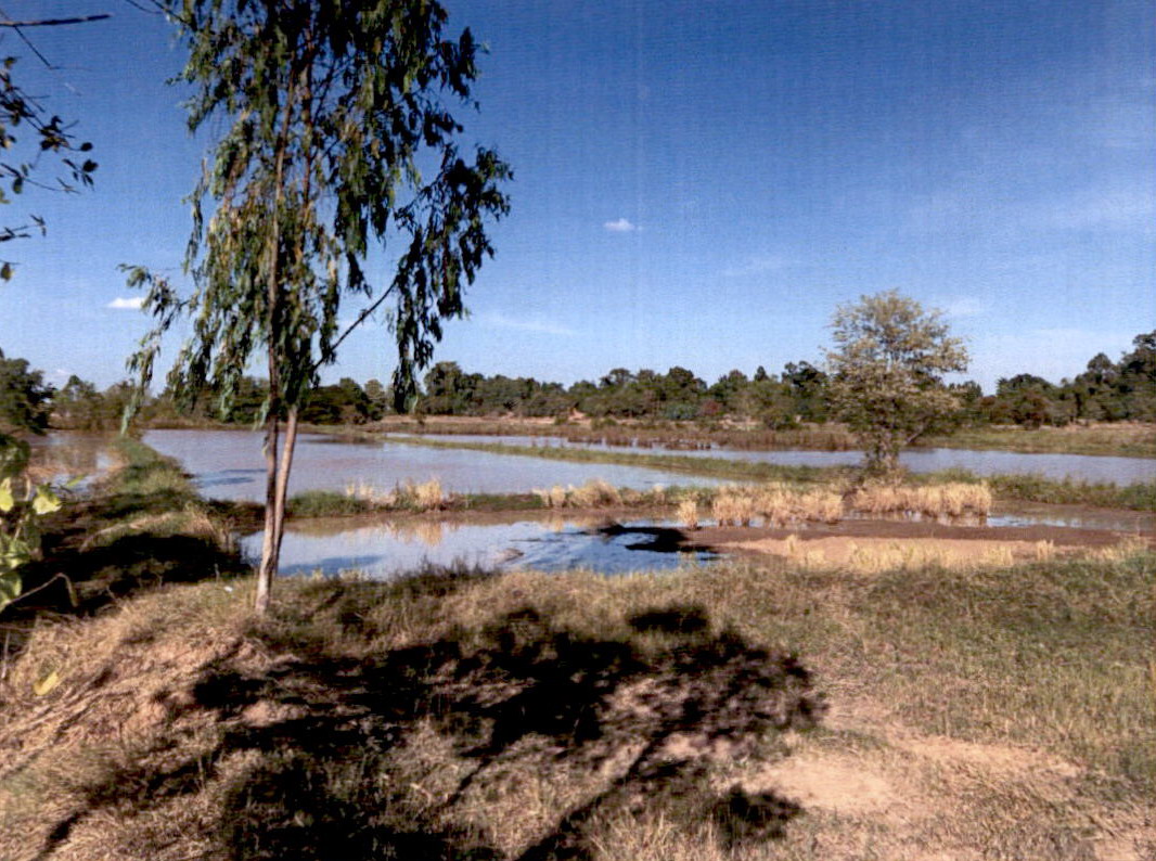 รูปที่ดินว่างเปล่า บ้านเขือง เชียงขวัญ ร้อยเอ็ด
