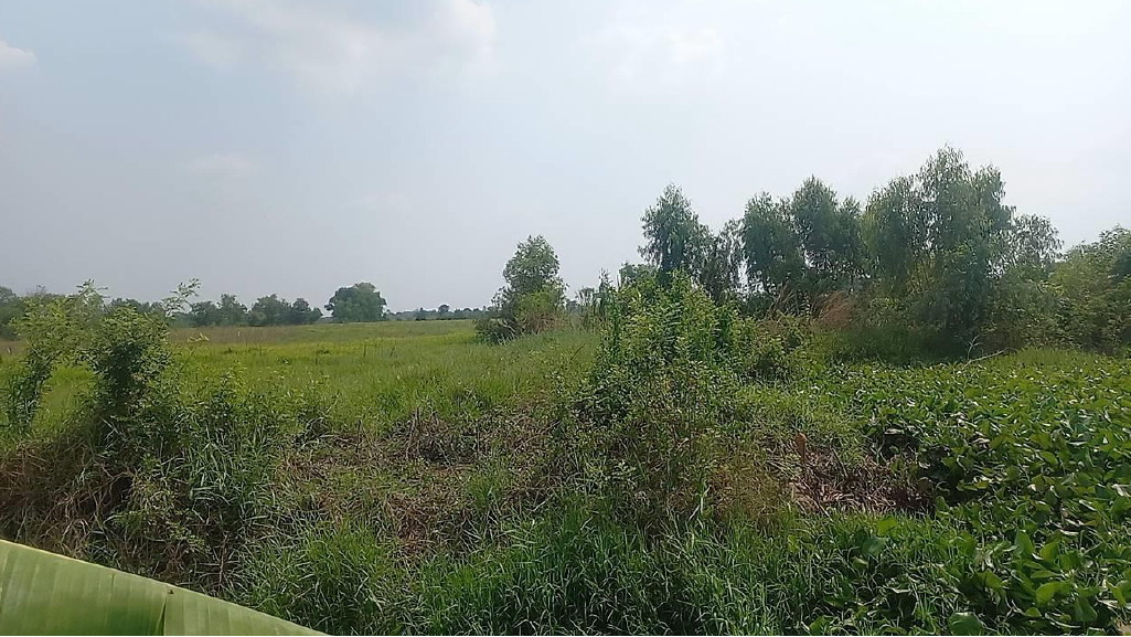 รูปที่ดินว่างเปล่า ดงละคร เมืองนครนายก นครนายก