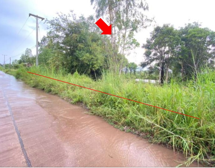 รูปที่ดินว่างเปล่า ส่องดาว ส่องดาว สกลนคร