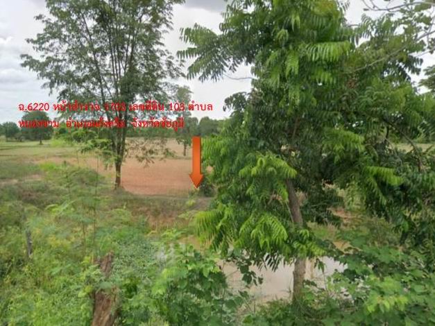 รูปที่ดินว่างเปล่า หนองขาม แก้งคร้อ ชัยภูมิ