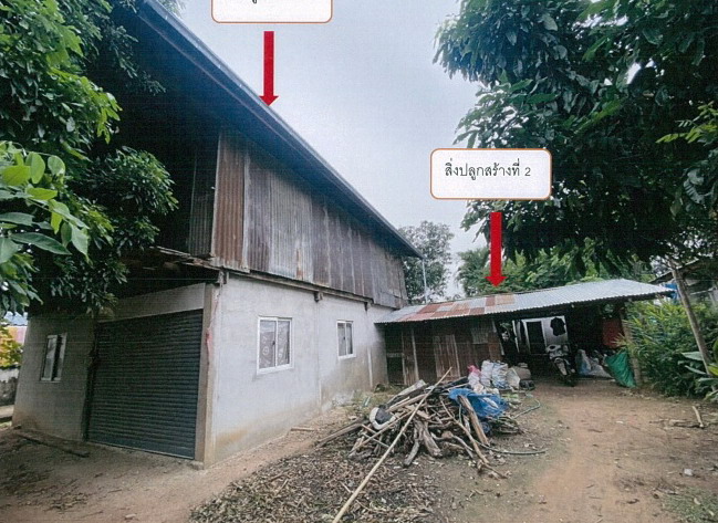 รูปที่ดินพร้อมสิ่งปลูกสร้าง บ้านเพชร ภูเขียว ชัยภูมิ