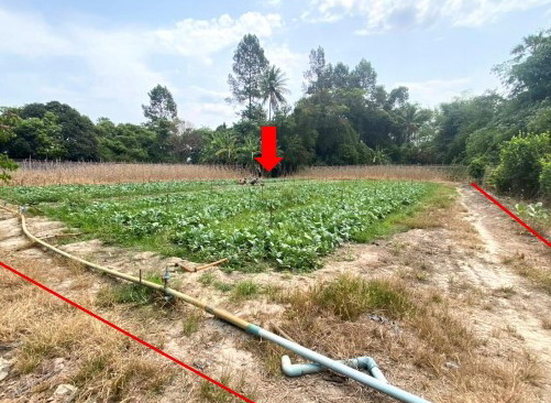 รูปที่ดินพร้อมสิ่งปลูกสร้าง หนองกรด เมืองนครสวรรค์ นครสวรรค์