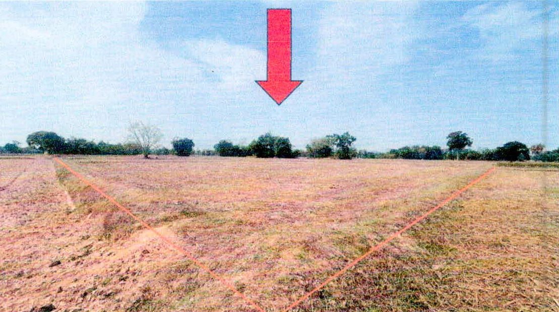 รูปที่ดินว่างเปล่า หนองห้าง อุทุมพรพิสัย ศรีสะเกษ