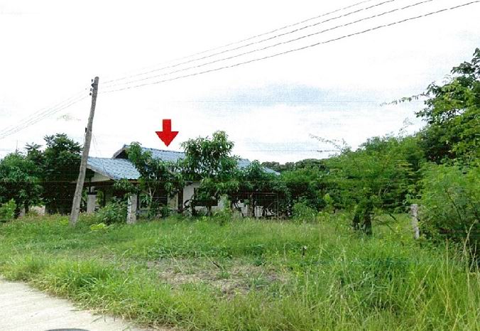 รูปที่ดินพร้อมสิ่งปลูกสร้าง หัวไทร หัวไทร นครศรีธรรมราช