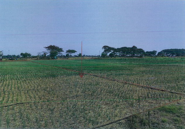 รูปที่ดินว่างเปล่า แสนพัน ธาตุพนม นครพนม