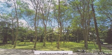 รูปที่ดินว่างเปล่า นาหมื่นศรี นาโยง ตรัง