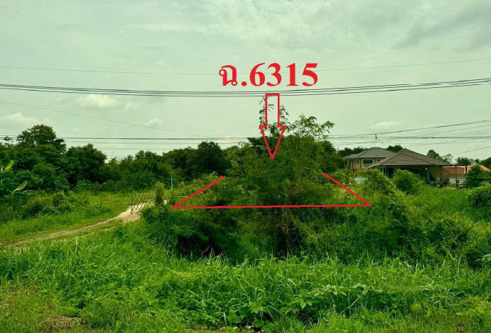 รูปที่ดินว่างเปล่า ราชสถิตย์ ไชโย อ่างทอง