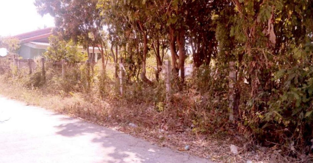 รูปที่ดินว่างเปล่า ชำนิ ชำนิ บุรีรัมย์
