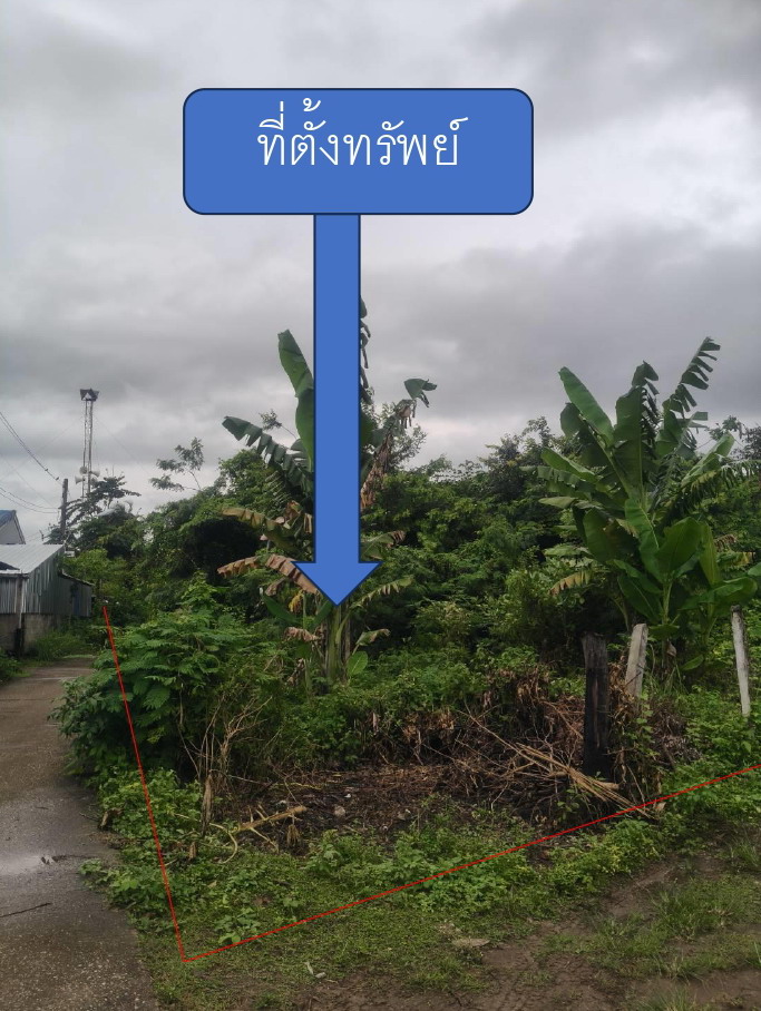 รูปที่ดินว่างเปล่า คลองหินปูน วังน้ำเย็น สระแก้ว
