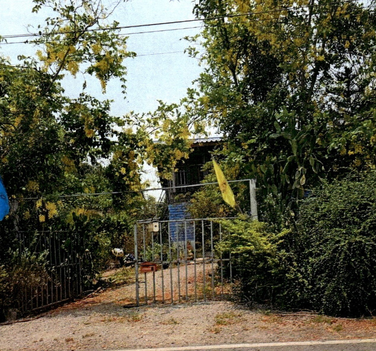 รูปที่ดินพร้อมสิ่งปลูกสร้าง บางลี่ ท่าวุ้ง(โพหวี) ลพบุรี