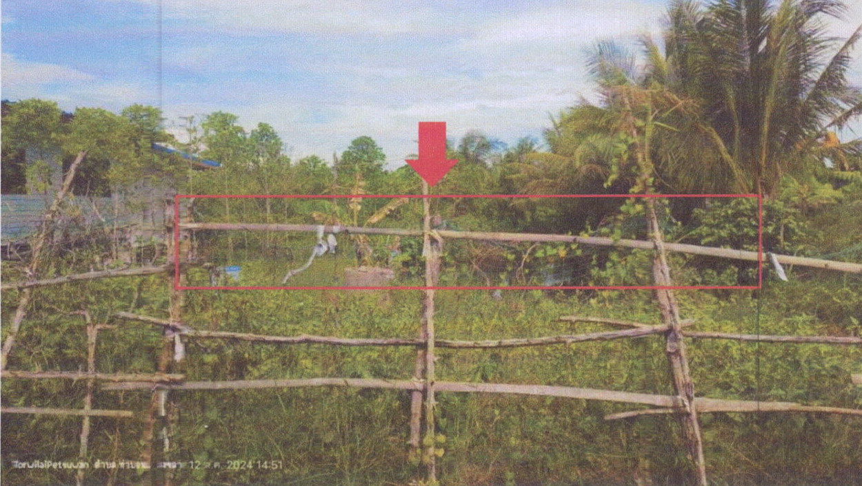 รูปที่ดินว่างเปล่า ท่าบอน ระโนด สงขลา
