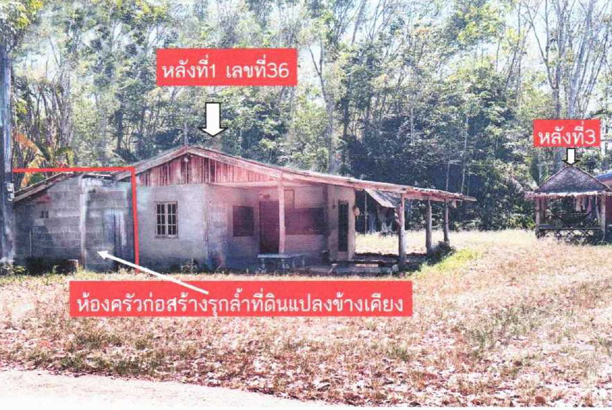 รูปที่ดินพร้อมสิ่งปลูกสร้าง ช้างกลาง ฉวาง นครศรีธรรมราช