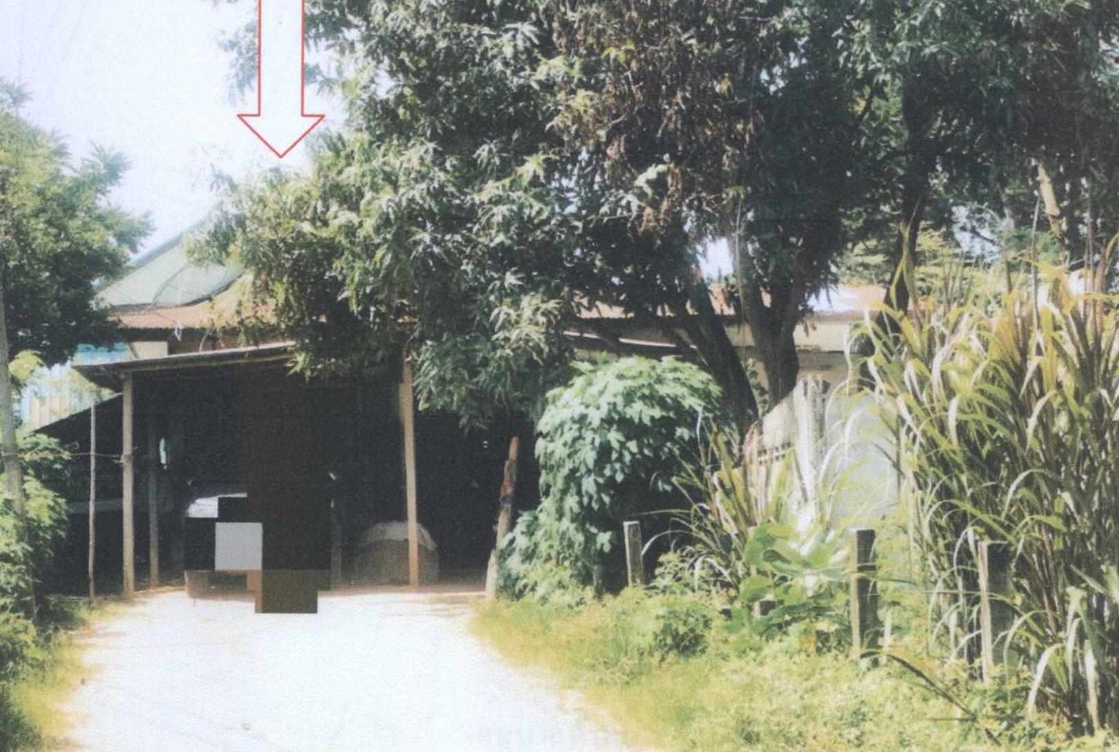 รูปที่ดินพร้อมสิ่งปลูกสร้าง ฟ้าหยาด มหาชนะชัย ยโสธร