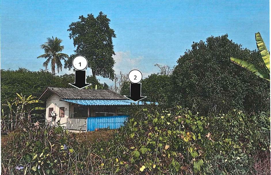 รูปที่ดินพร้อมสิ่งปลูกสร้าง สาริกา เมืองนครนายก นครนายก