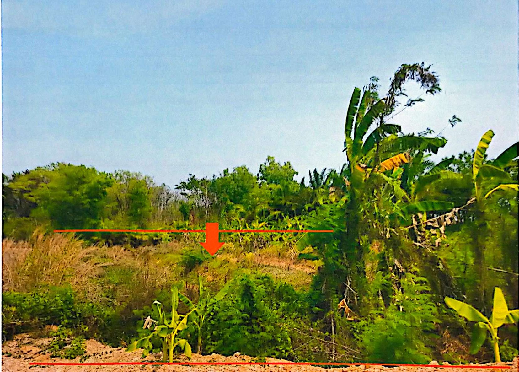 รูปที่ดินว่างเปล่า ม่วง บ้านม่วง สกลนคร