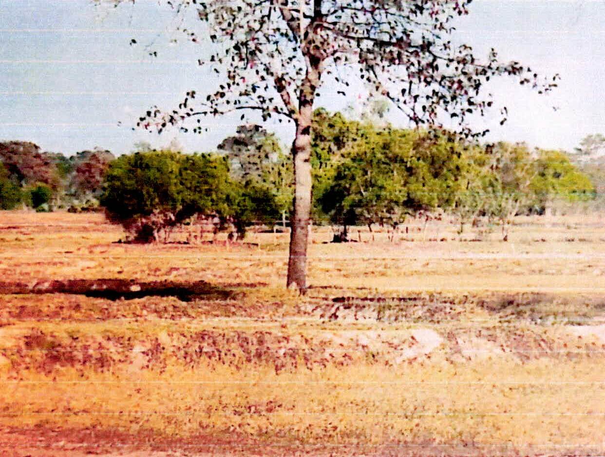 รูปที่ดินว่างเปล่า หนองแค ราษีไศล ศรีสะเกษ