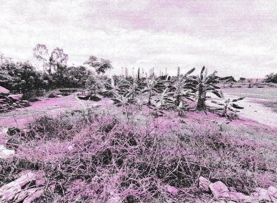 รูปที่ดินว่างเปล่า บ้านปทุม สามโคก ปทุมธานี