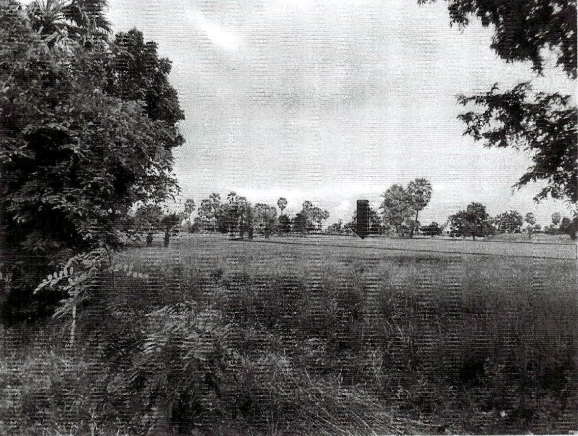 รูปที่ดินว่างเปล่า ห้วยลึก บ้านลาด เพชรบุรี