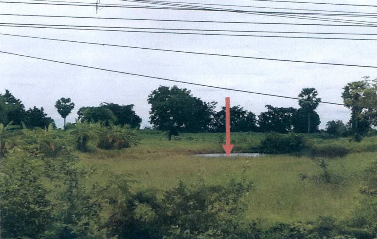 รูปที่ดินว่างเปล่า สำโรง โนนไทย นครราชสีมา