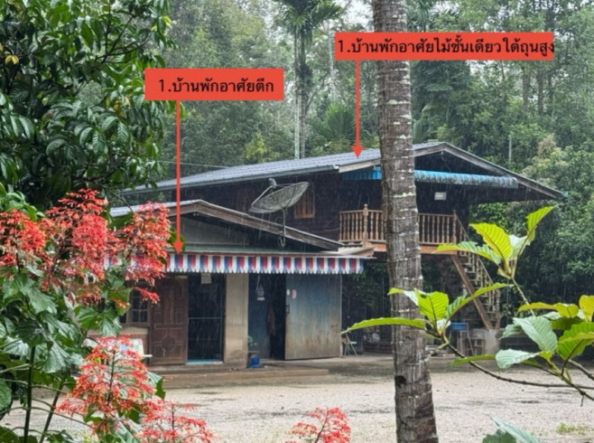 รูปที่ดินพร้อมสิ่งปลูกสร้าง บางเดือน พุนพิน สุราษฎร์ธานี