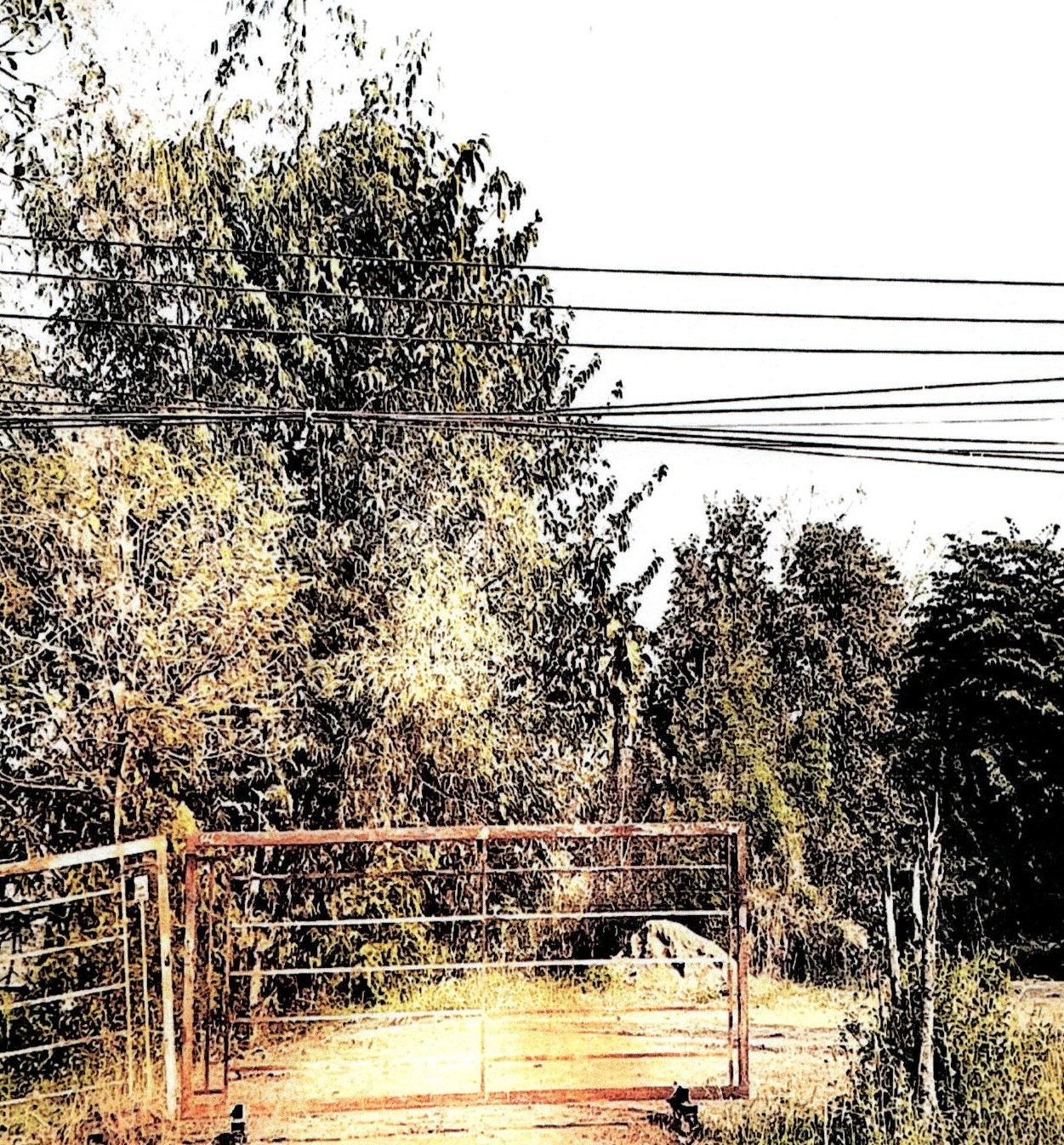 รูปที่ดินว่างเปล่า วังพร้าว เกาะคา ลำปาง
