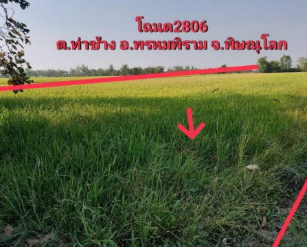 รูปที่ดินว่างเปล่า ท่าช้าง พรหมพิราม พิษณุโลก