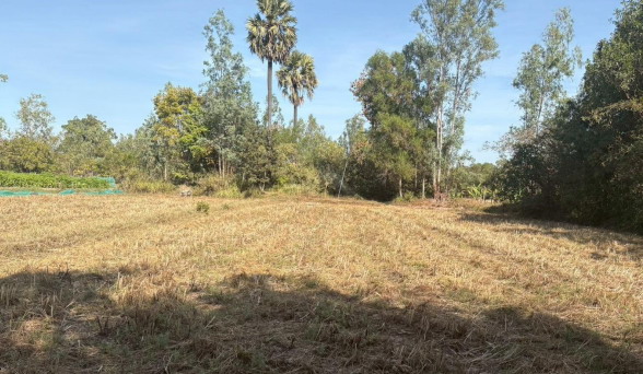 รูปที่ดินว่างเปล่า หนองขอน เมืองอุบลราชธานี อุบลราชธานี