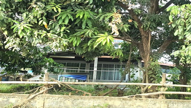 รูปที่ดินพร้อมสิ่งปลูกสร้าง หนองบัว โกสุมพิสัย มหาสารคาม