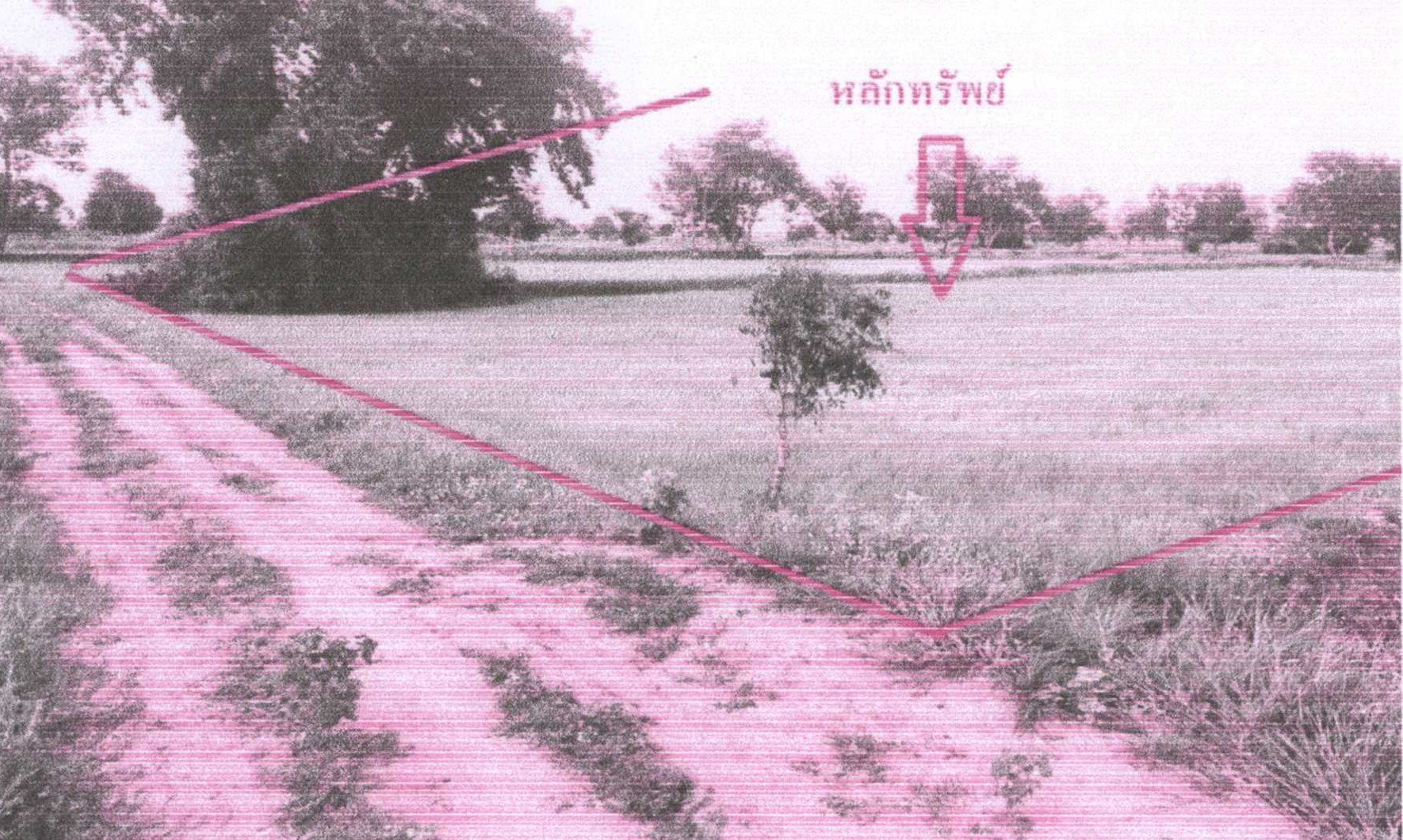 รูปที่ดินว่างเปล่า ขามเรียน ยางสีสุราช มหาสารคาม