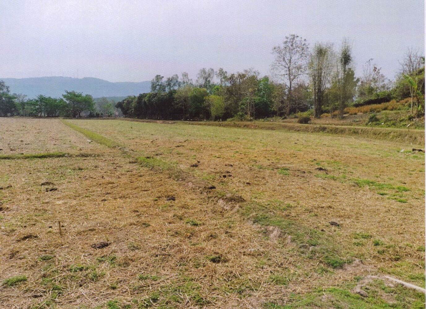 รูปที่ดินว่างเปล่า ท่าสาย เมืองเชียงราย เชียงราย