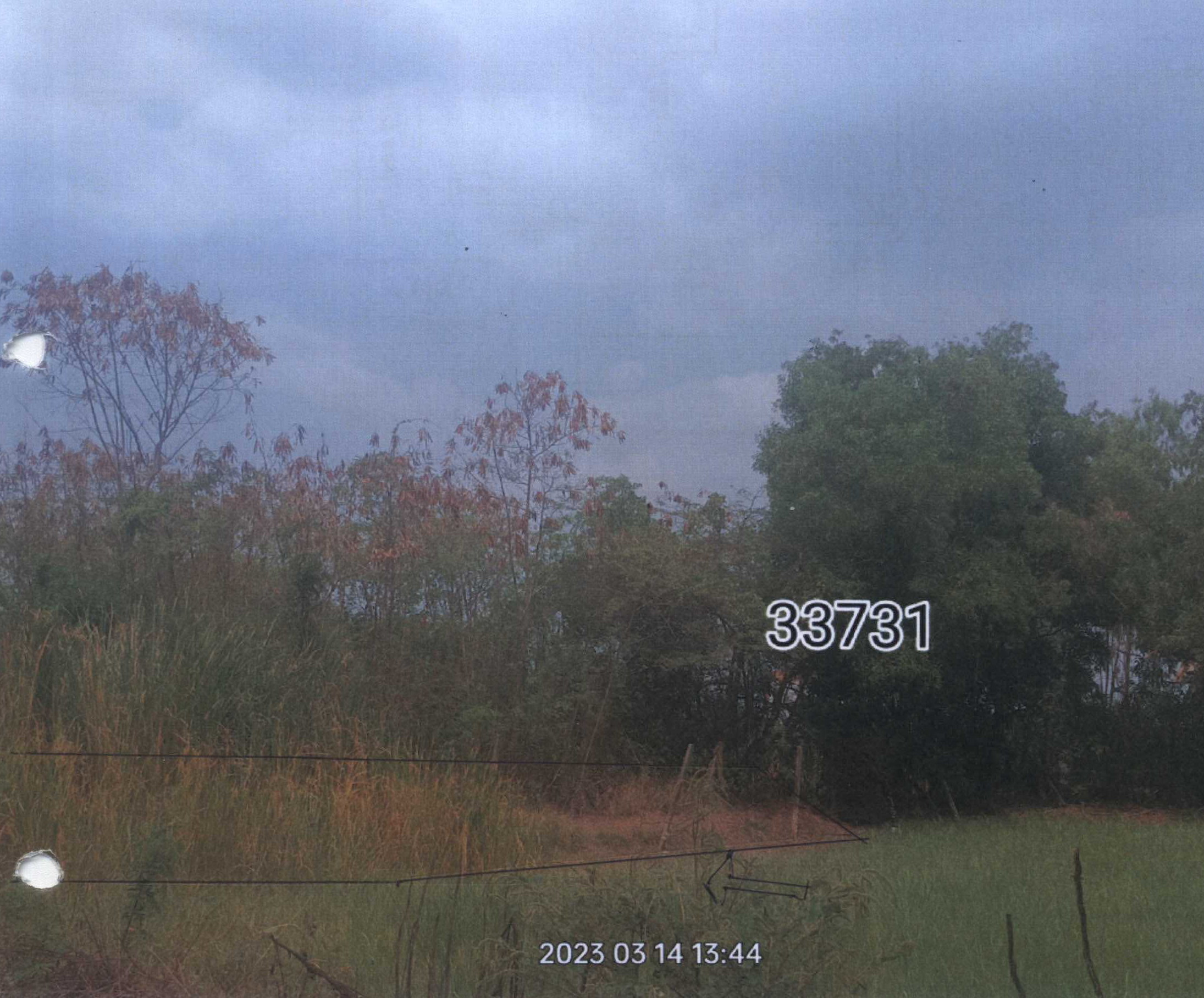 รูปที่ดินว่างเปล่า หนองเพรางาย ไทรน้อย(บางบัวทอง) นนทบุรี