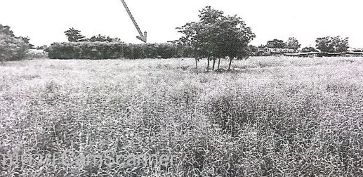 รูปที่ดินว่างเปล่า บางพูด ปากเกร็ด นนทบุรี