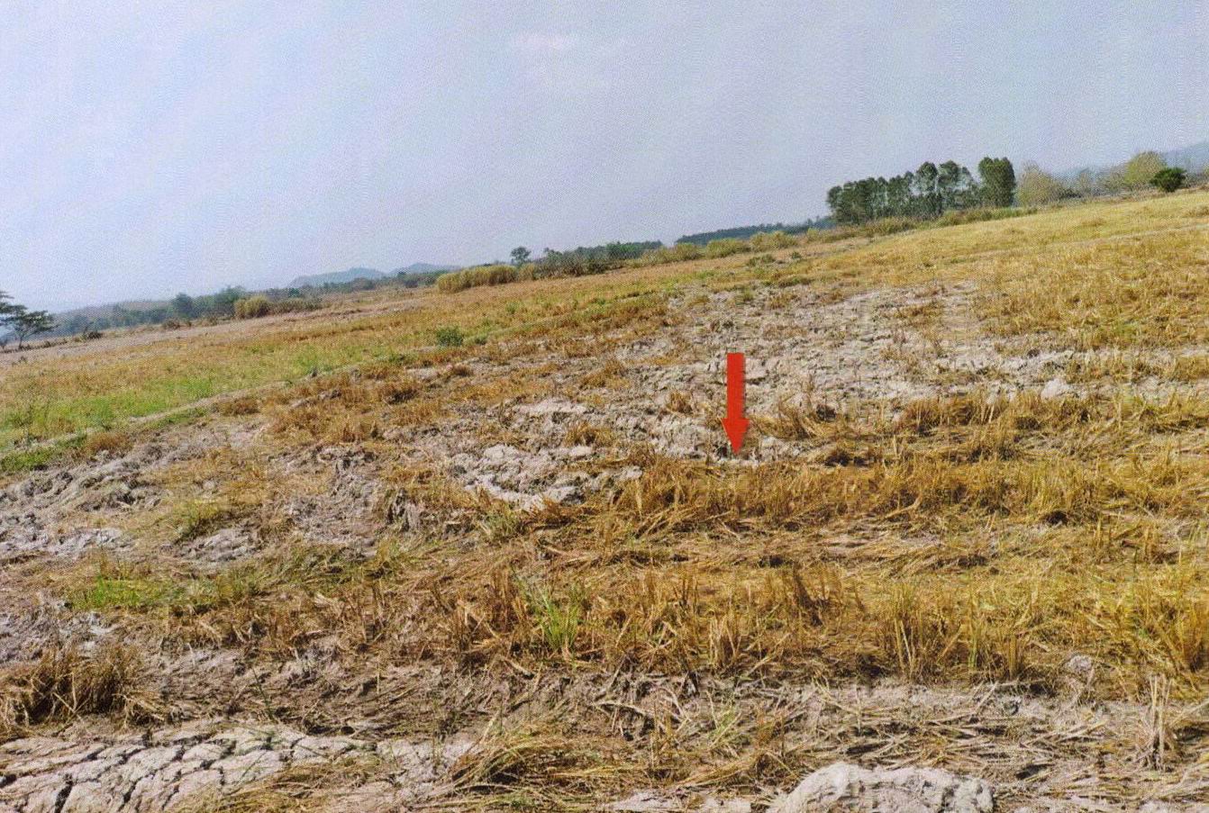 รูปที่ดินว่างเปล่า ดอยลาน เมืองเชียงราย เชียงราย