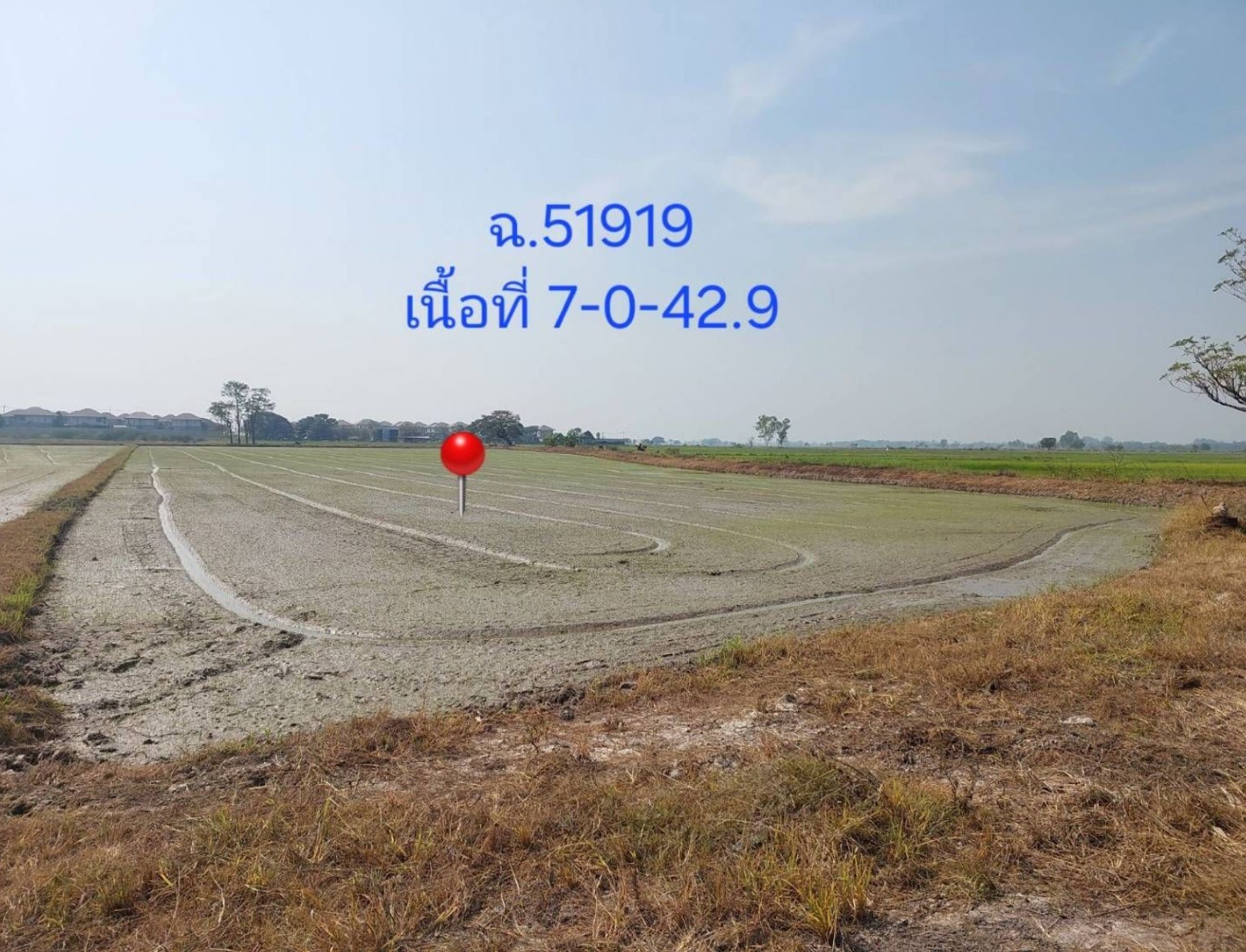 รูปที่ดินว่างเปล่า บ้านกร่าง เมืองพิษณุโลก พิษณุโลก