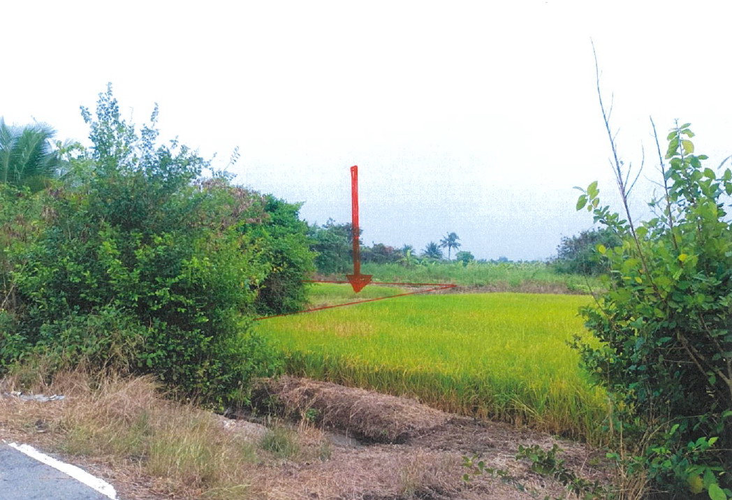 รูปที่ดินว่างเปล่า หนองเพรางาย ไทรน้อย(บางบัวทอง) นนทบุรี