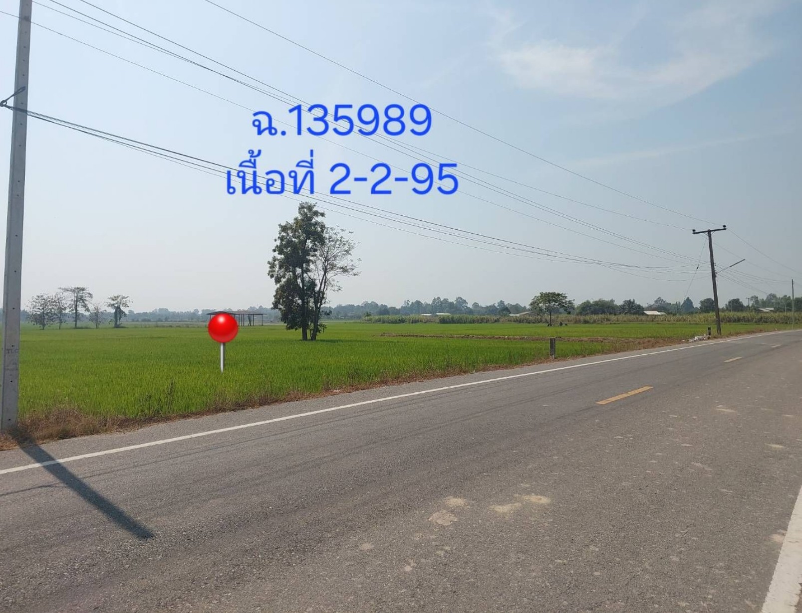 รูปที่ดินว่างเปล่า บ้านกร่าง เมืองพิษณุโลก พิษณุโลก