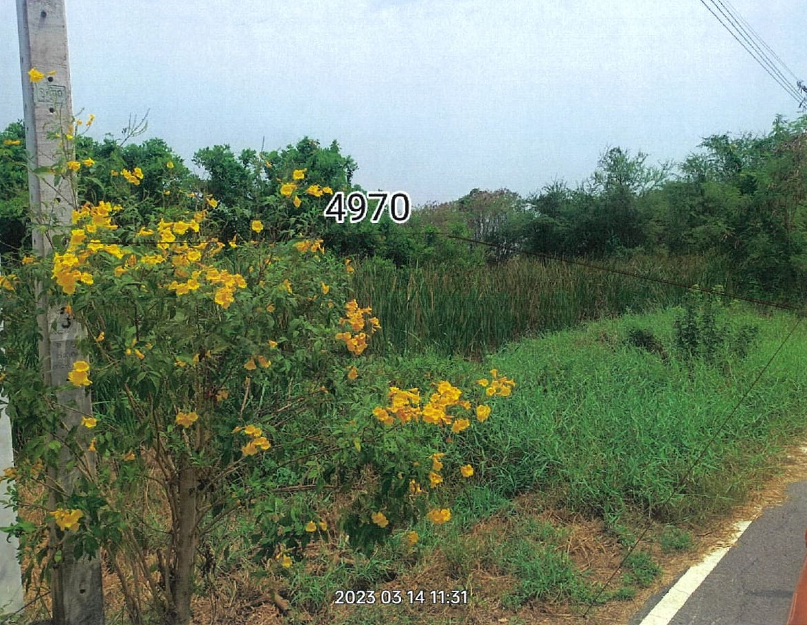 รูปที่ดินว่างเปล่า หนองเพรางาย ไทรน้อย นนทบุรี