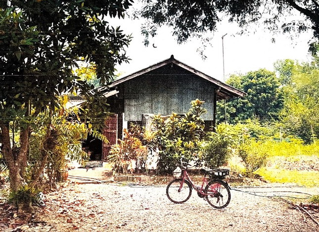รูปที่ดินพร้อมสิ่งปลูกสร้าง แม่คำ แม่จัน เชียงราย