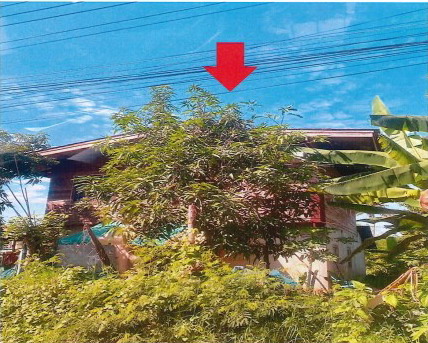 รูปที่ดินพร้อมสิ่งปลูกสร้าง เชียงเครือ เมืองกาฬสินธุ์ กาฬสินธุ์