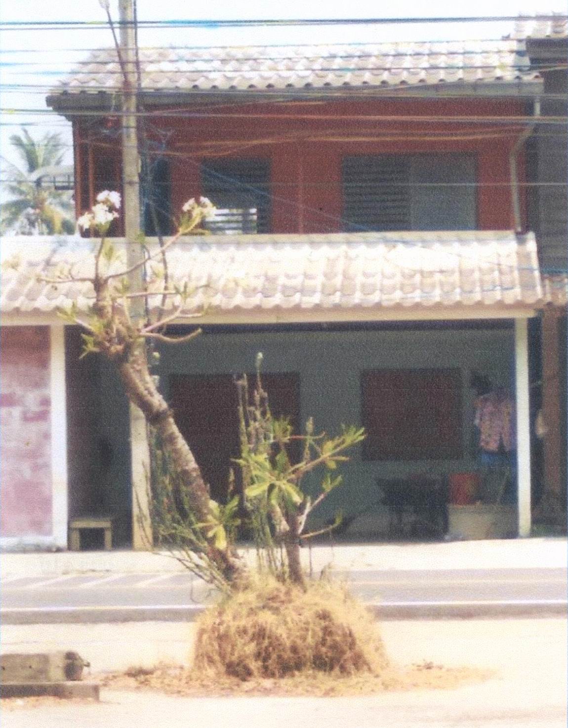 รูปที่ดินพร้อมสิ่งปลูกสร้าง แม่เมาะ แม่เมาะ ลำปาง