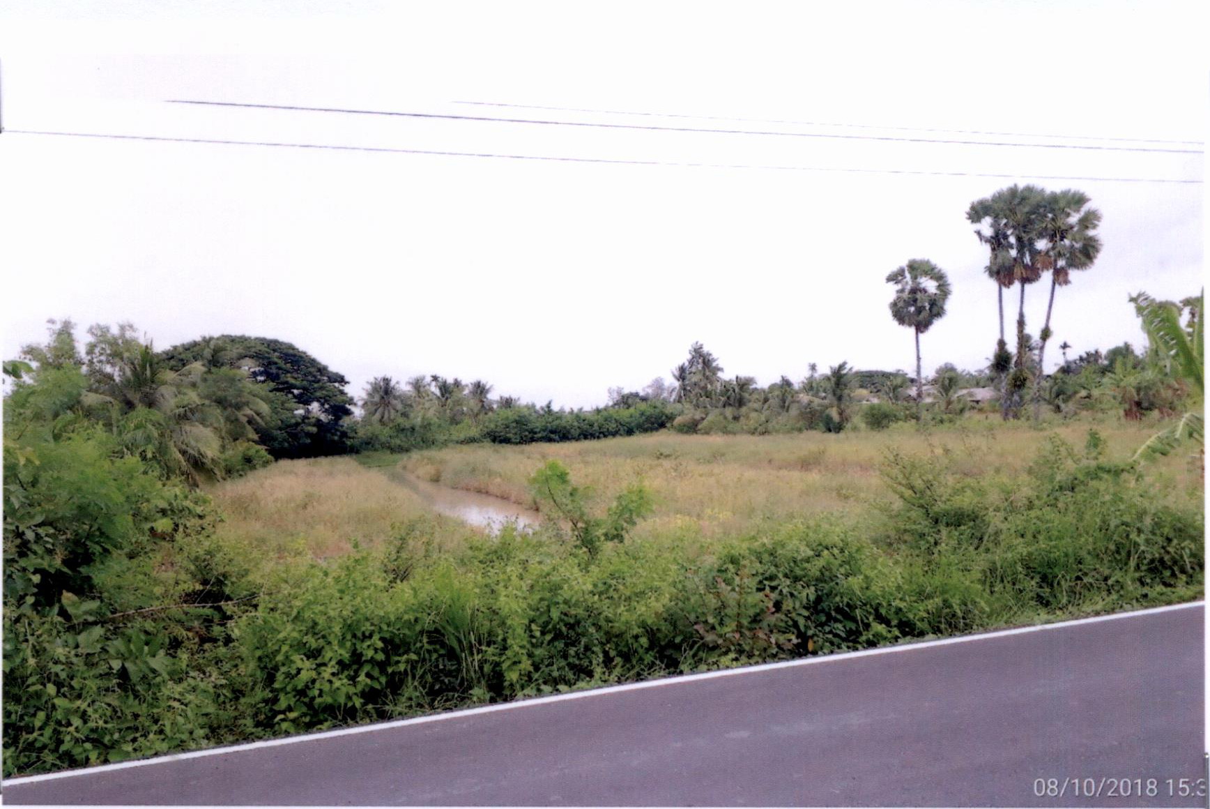 รูปที่ดินว่างเปล่า ตะเครียะ ระโนด สงขลา