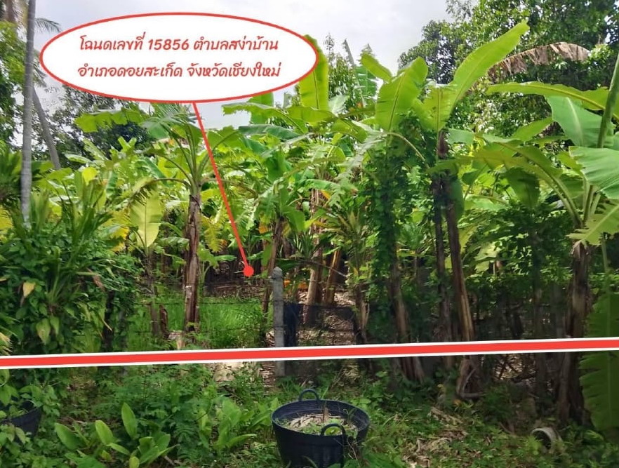 รูปที่ดินว่างเปล่า สง่าบ้าน ดอยสะเก็ด เชียงใหม่